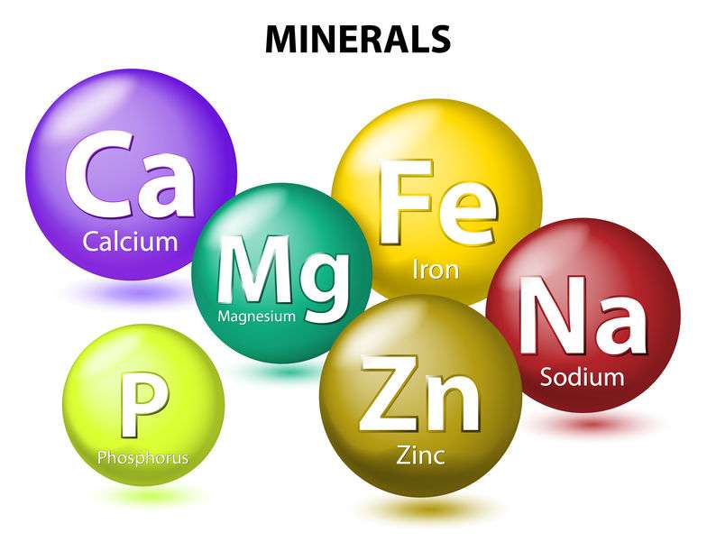 Naturally Botanicals - Zinc 1 Minerals