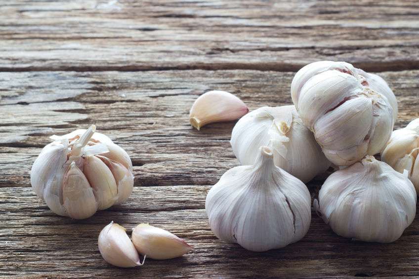 Heads and cloves of garlic on brown wood background