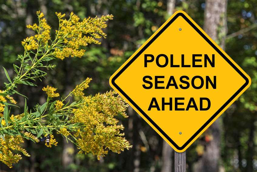 Naturally-Botanicals-Pollen-Season