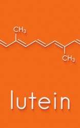 Browse by Ingredient @naturallybotanicals.com - Lutein