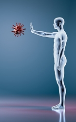 Gut - Immune Connection